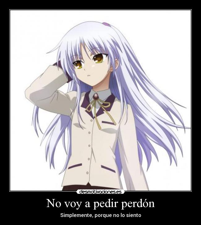 No voy a pedir perdón - 