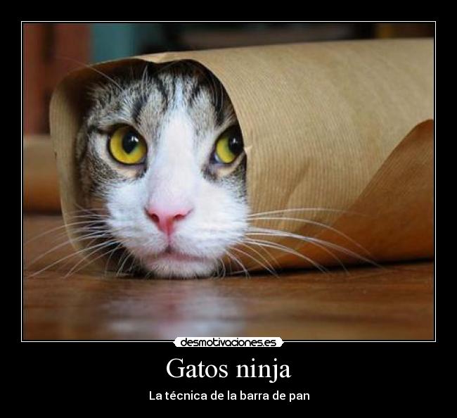 Gatos ninja - La técnica de la barra de pan