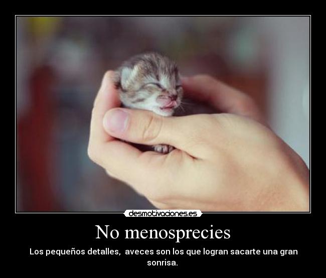 No menosprecies - Los pequeños detalles, aveces son los que logran sacarte una gran sonrisa.