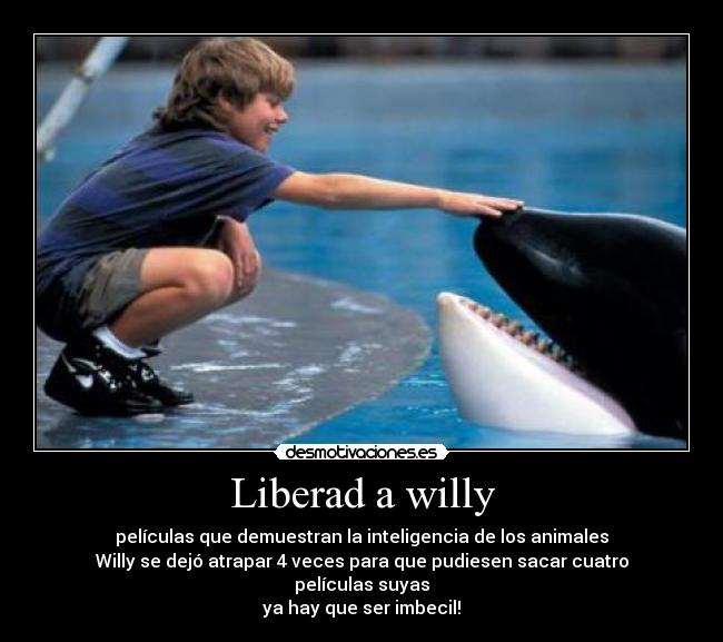 Liberad a willy - 