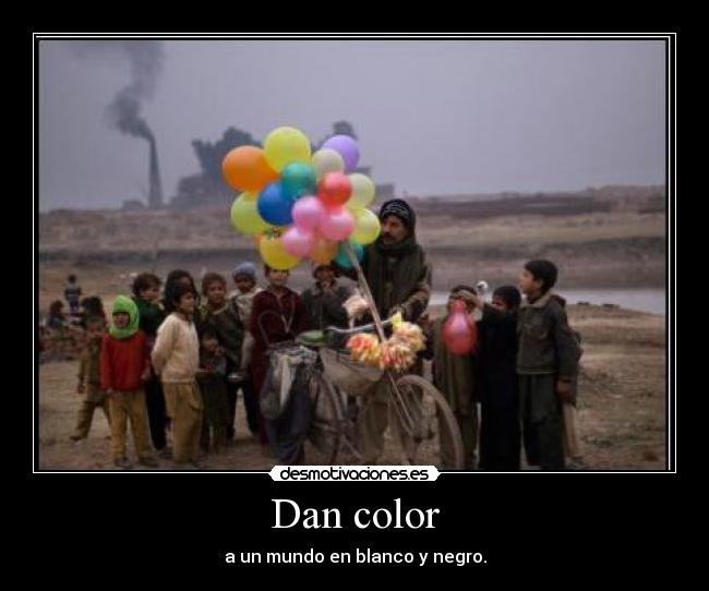 Dan color - 
