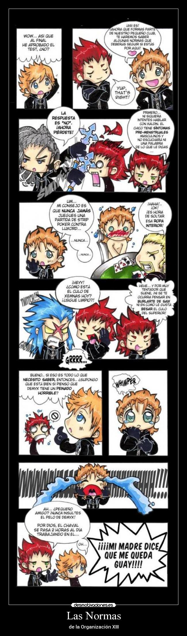 carteles kingdom hearts-organizacion xiii desmotivaciones