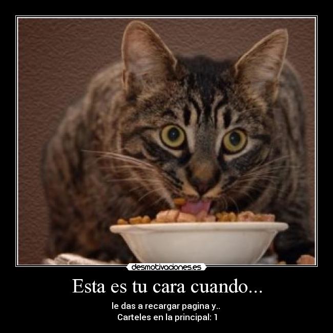 Esta es tu cara cuando... - le das a recargar pagina y..
Carteles en la principal: 1