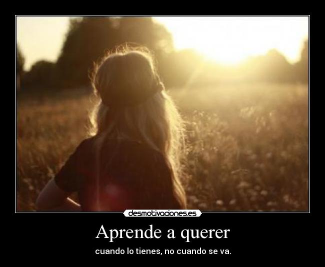 carteles aprendeaquerer desmotivaciones