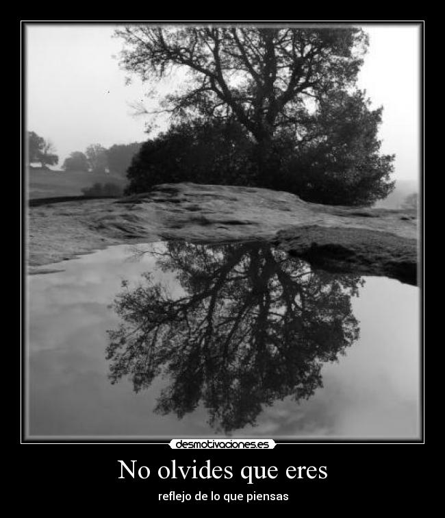 No olvides que eres - reflejo de lo que piensas