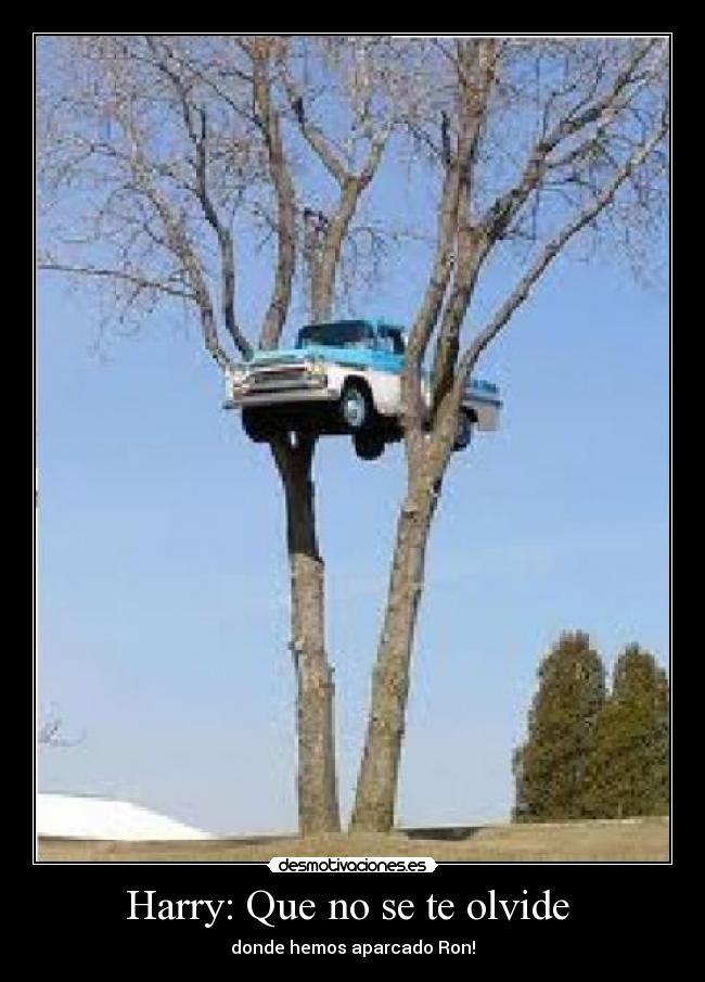Harry: Que no se te olvide  - donde hemos aparcado Ron!