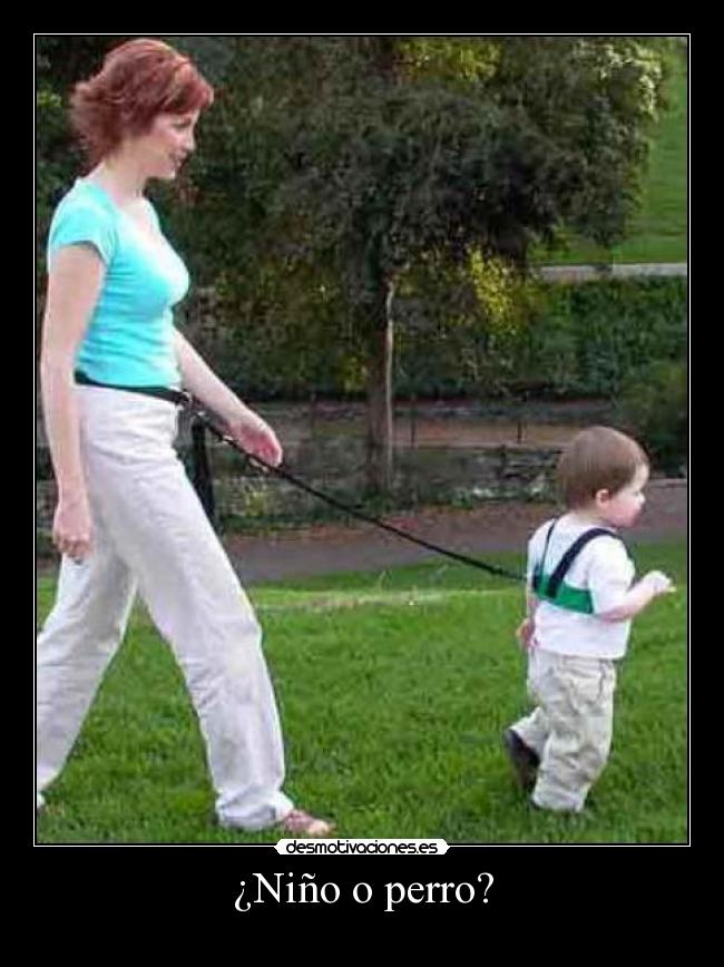 ¿Niño o perro? - 
