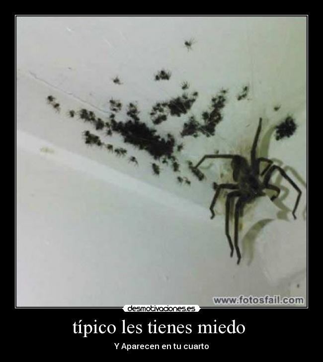 típico les tienes miedo - Y Aparecen en tu cuarto