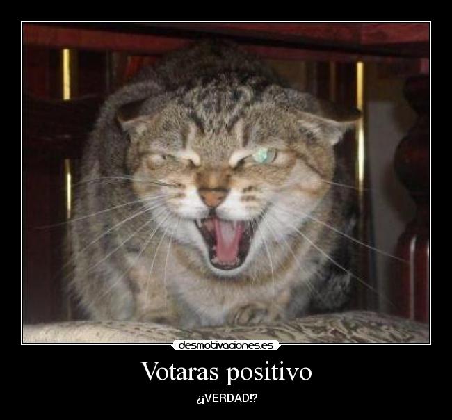 Votaras positivo - ¿¡VERDAD!?