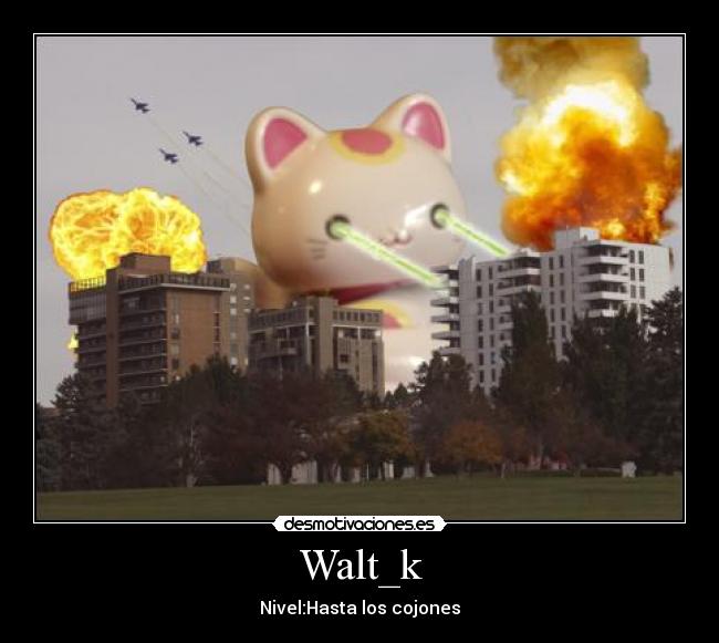 Walt_k -