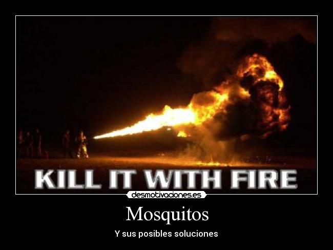 Mosquitos -