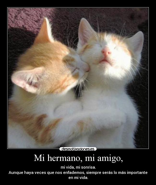 Mi hermano, mi amigo, - 