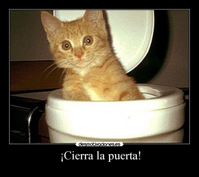 ¡Cierra la puerta! - 