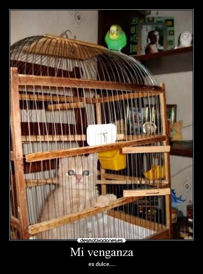 Mi venganza -