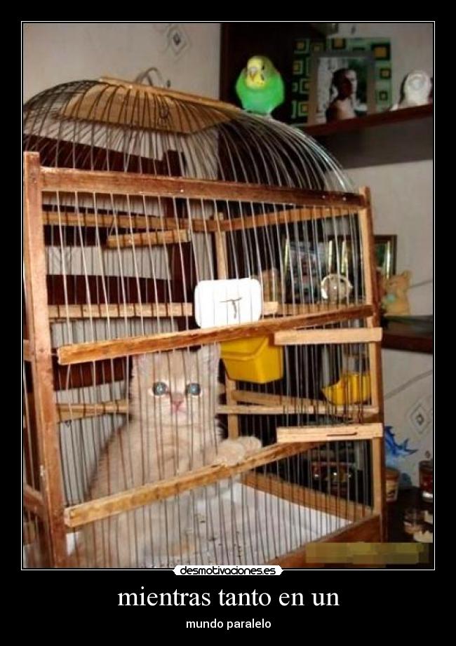 mientras tanto en un - mundo paralelo