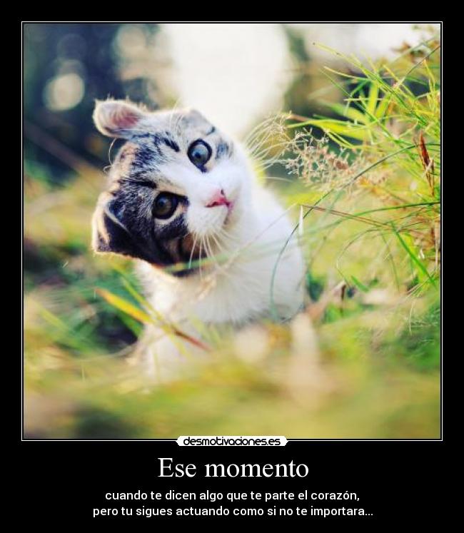 Ese momento -
