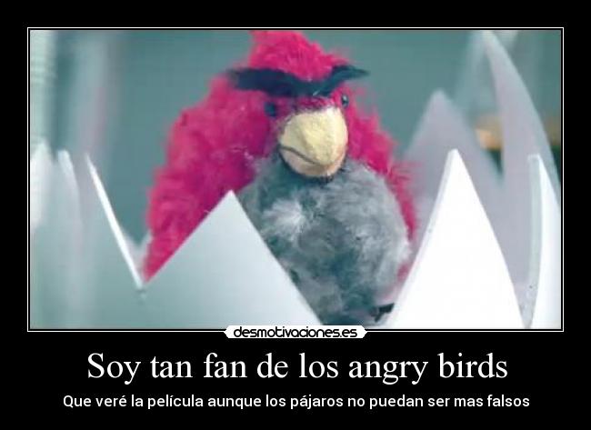 Soy tan fan de los angry birds -