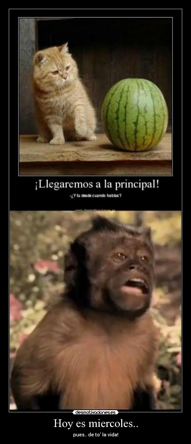 Hoy es miercoles.. -