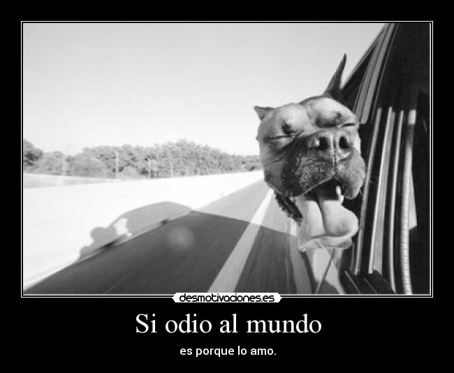 Si odio al mundo -