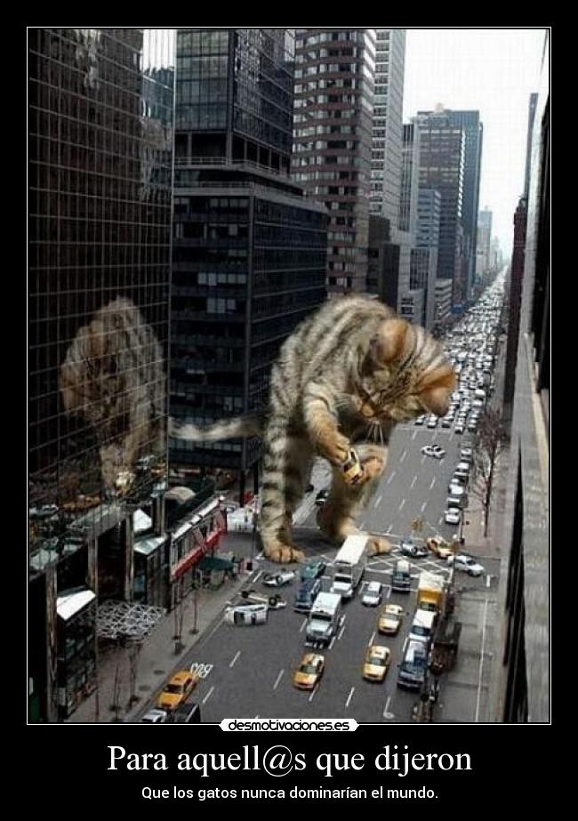 Para aquell@s que dijeron - Que los gatos nunca dominarían el mundo.