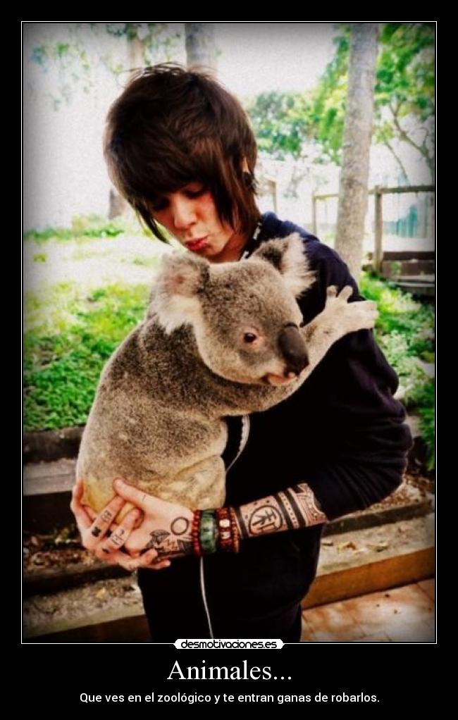 Animales... -