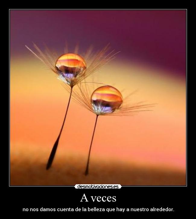 carteles belleza desmotivaciones