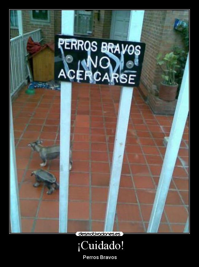 ¡Cuidado! - Perros Bravos