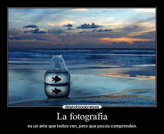 La fotografía - es un arte que todos ven, pero que pocos comprenden.