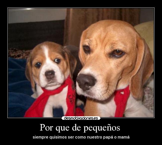 Por que de pequeños - siempre quisimos ser como nuestro papá o mamá
