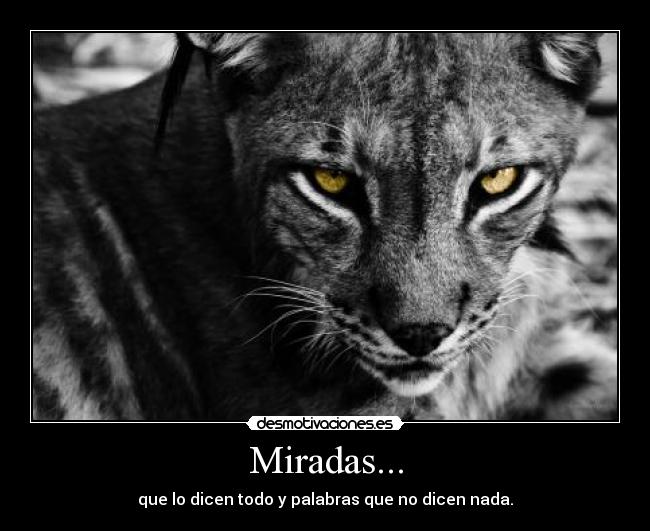 Miradas... -