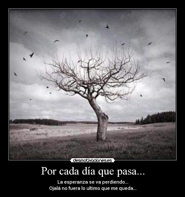 carteles desmotivaciones