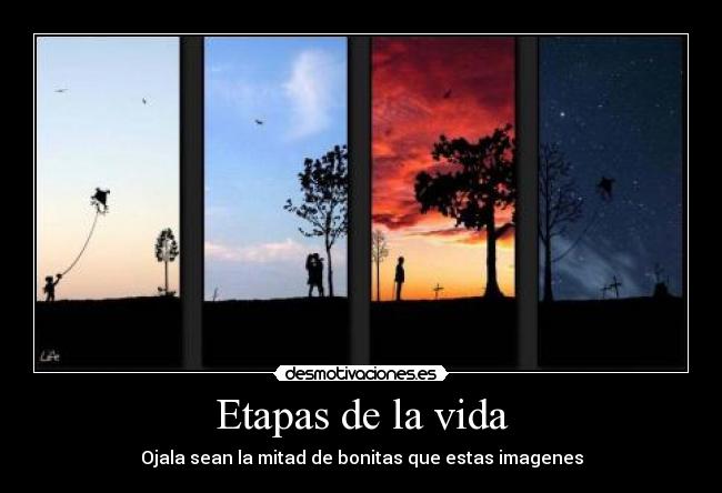 Etapas de la vida -