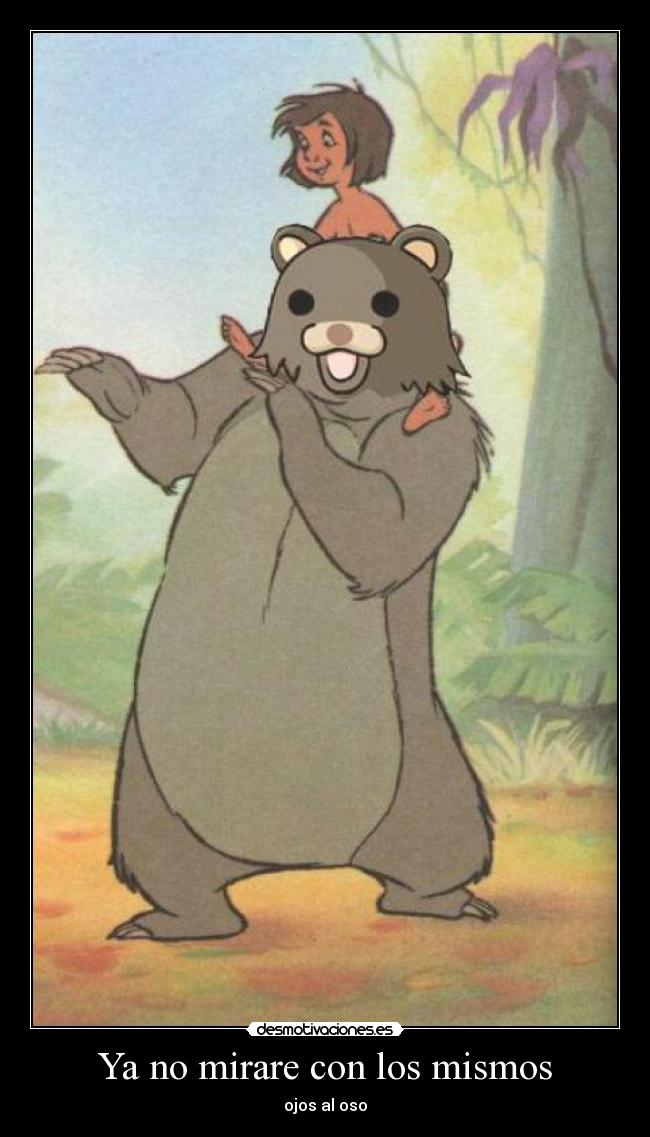 Ya no mirare con los mismos - ojos al oso