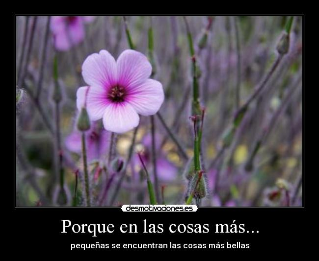 Porque en las cosas más... -