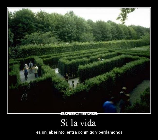 Si la vida - es un laberinto, entra conmigo y perdamonos