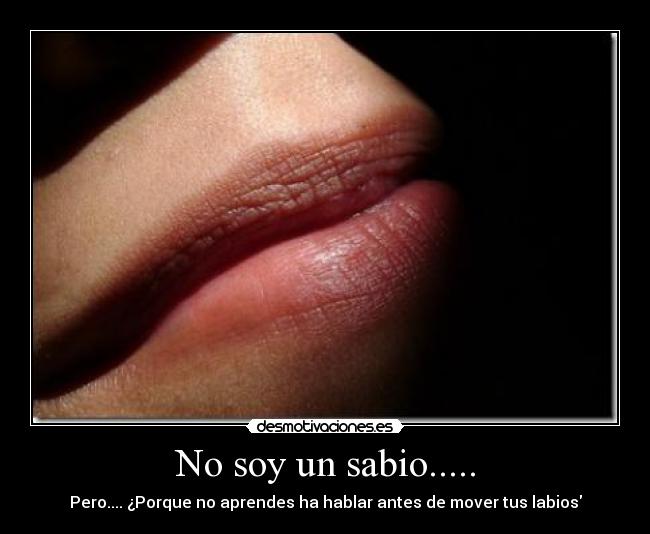 No soy un sabio..... - Pero.... ¿Porque no aprendes ha hablar antes de mover tus labios