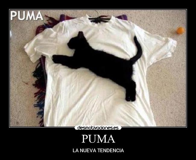 PUMA - LA NUEVA TENDENCIA