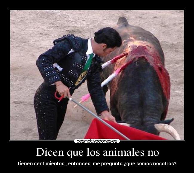 Dicen que los animales no - 