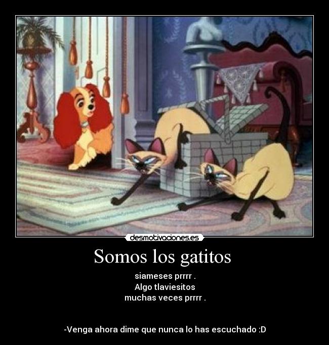 Somos los gatitos - siameses prrrr .
Algo tlaviesitos
muchas veces prrrr .
-Venga ahora dime que nunca lo has escuchado :D