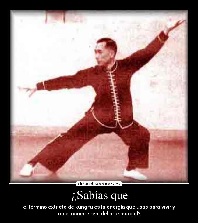 ¿Sabías que - el término extricto de kung fu es la energía que usas para vivir y
no el nombre real del arte marcial?