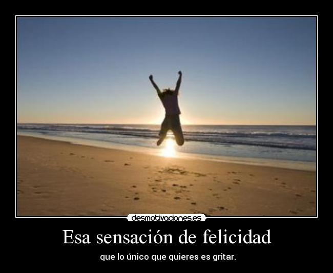 carteles felicidad felicidad desmotivaciones