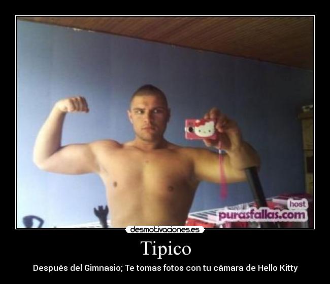 Tipico -