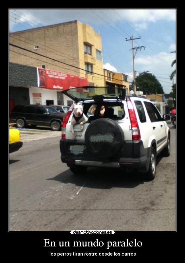 En un mundo paralelo - 