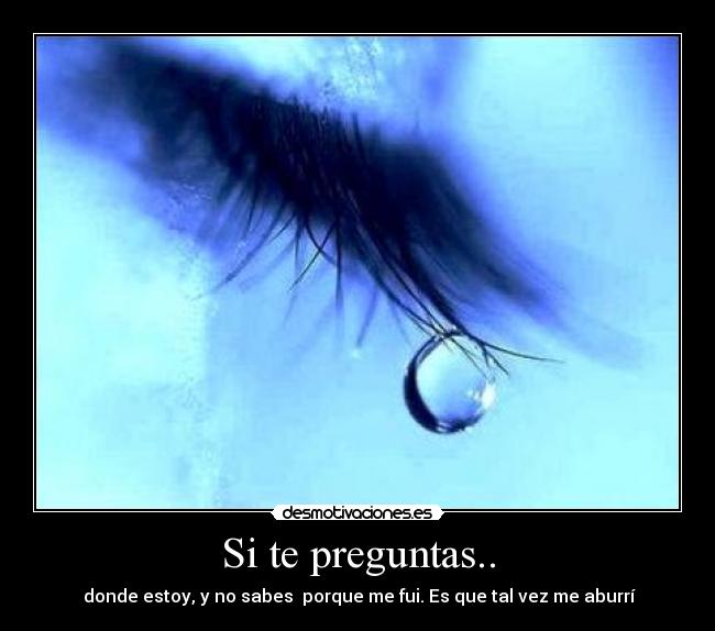 carteles preguntas desmotivaciones