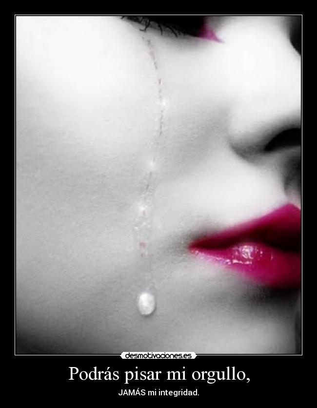 carteles orgullo integridad pisar desmotivaciones