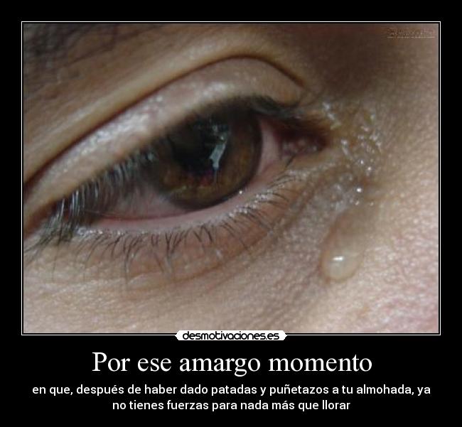 Por ese amargo momento - 