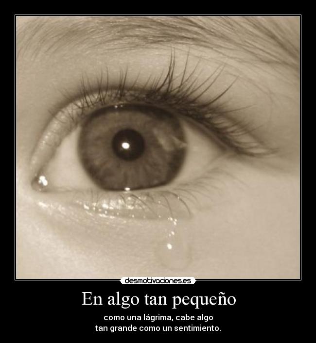 carteles lagrima pequeno sentimiento grande desmotivaciones