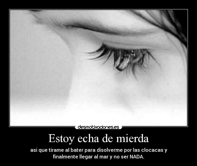 carteles estoy desmotivaciones