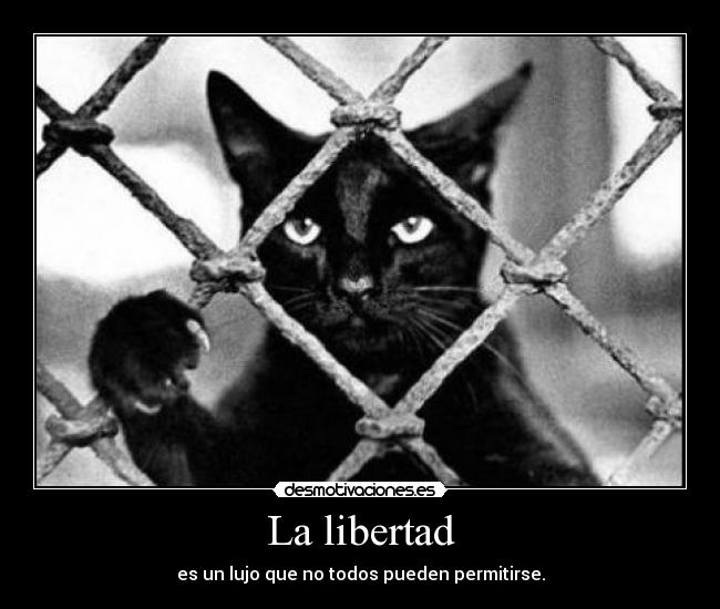 La libertad -