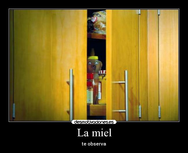 La miel - te observa